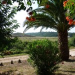 Aussicht
